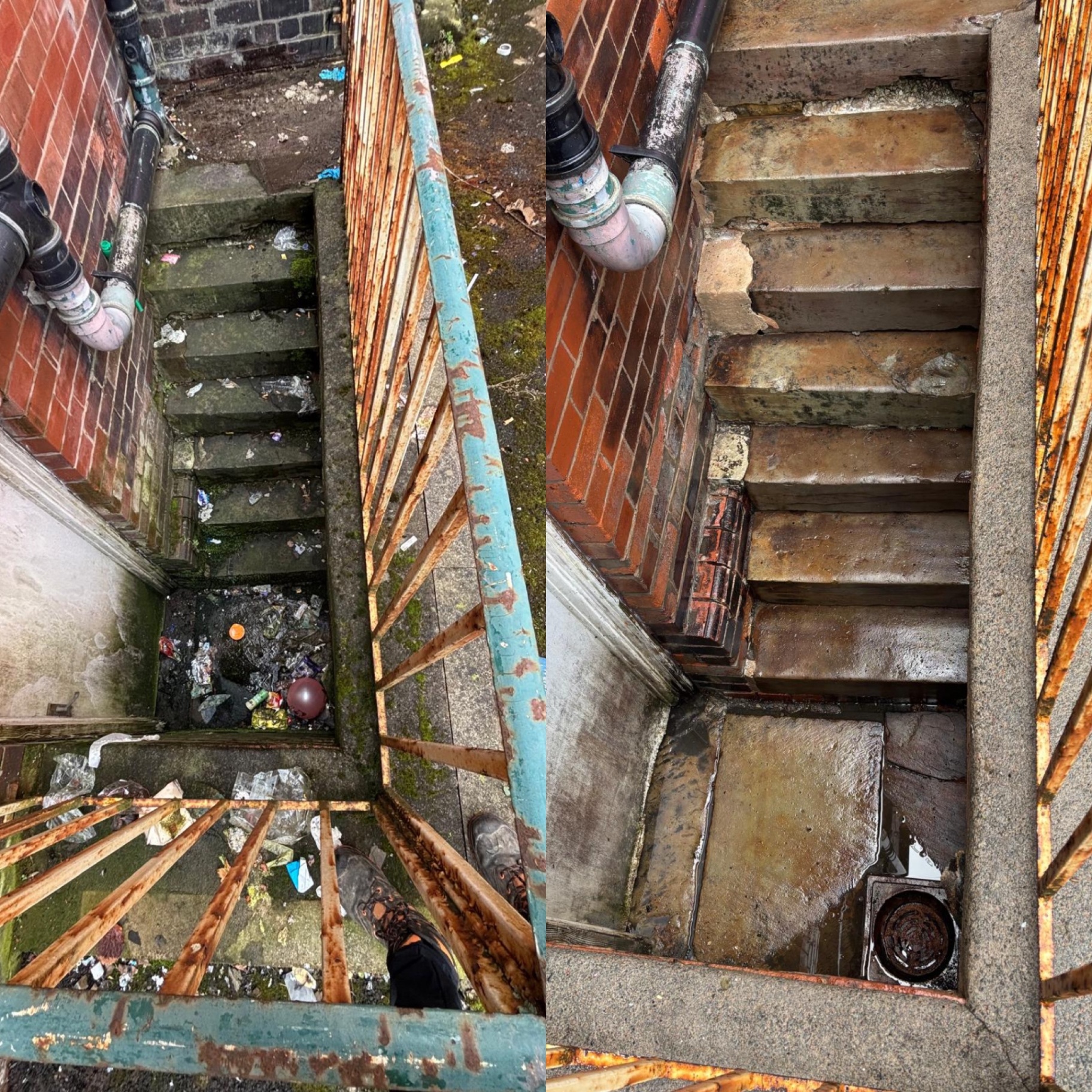 Cellar steps cleared and deep cleaned