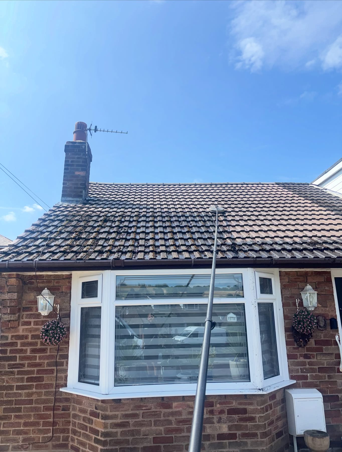 Bungalow roof soft washed with reach and wash pole